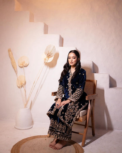 Very Beautiful Ready-To-Wear Velvet Suit