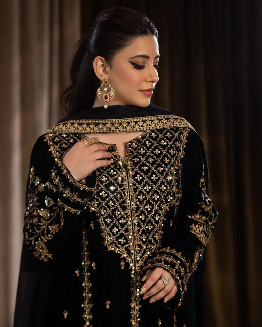 Extremely Beautiful Pakistani Velvet Suit