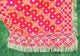 2-in-1 Shagun Fulkari Dupatta