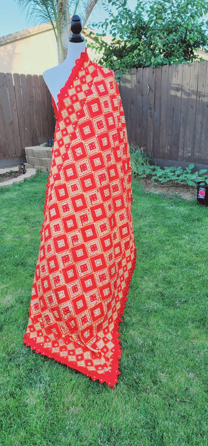 Stylish Fulkari Dupatta with Cut Work