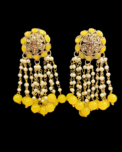 Stone Beaded Earrings