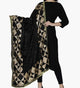 Women Chiffon Embroidered Fulkari