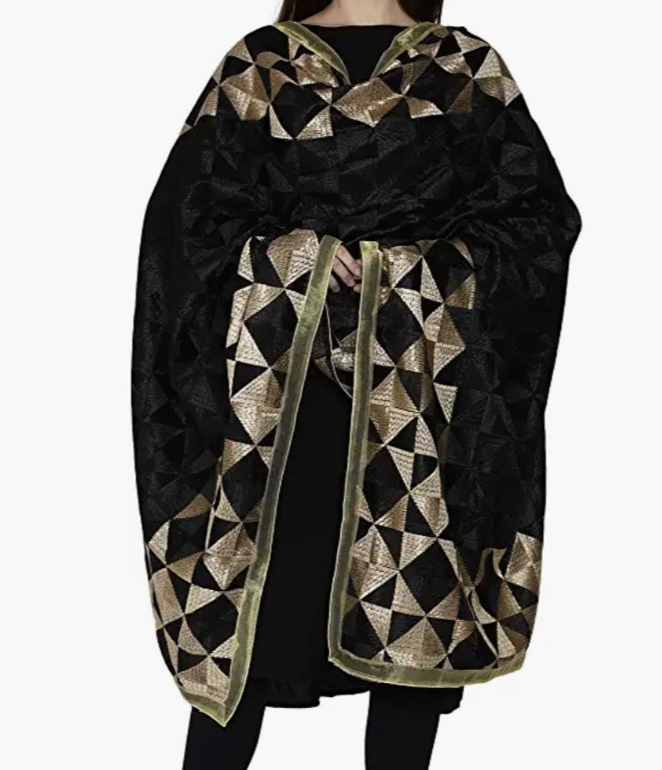 Women Chiffon Embroidered Fulkari