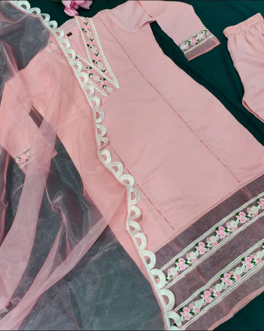 Stylish Pakistani Suit (Pastel Color)